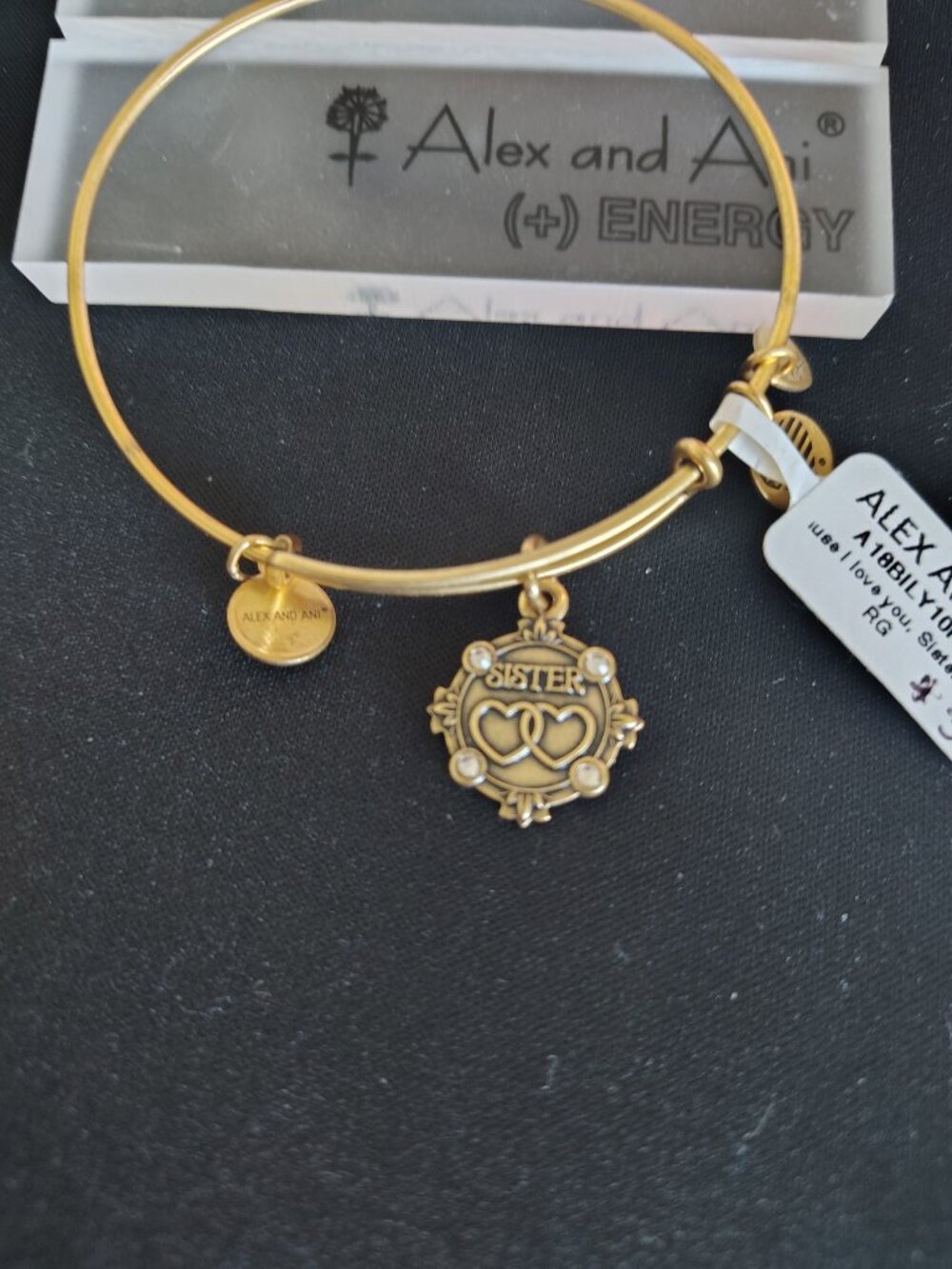 Sister Alex and Ani Bangle #837